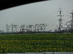 DSCF2532.JPG