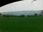 DSCF2651.JPG