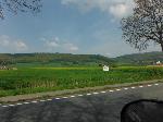DSCF2652.JPG