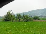 DSCF2653.JPG