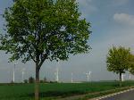 DSCF2668.JPG