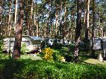 DSCF2713.JPG