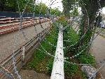DSCF2861.JPG