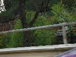 DSCF2885.JPG