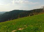 DSCF2915.JPG
