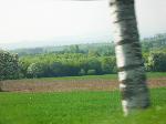 DSCF2942.JPG