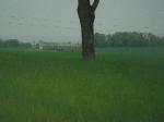 DSCF2951.JPG