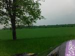 DSCF2955.JPG