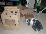 Roo_Checks_Assembly.JPG