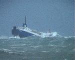 NewZealand-Ferry-2.jpg