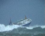 NewZealand-Ferry-3.jpg
