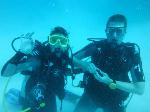 Diving-1.jpg