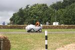 IMG_4781.JPG