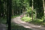 IMG_4845.JPG