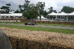 IMG_5035.JPG
